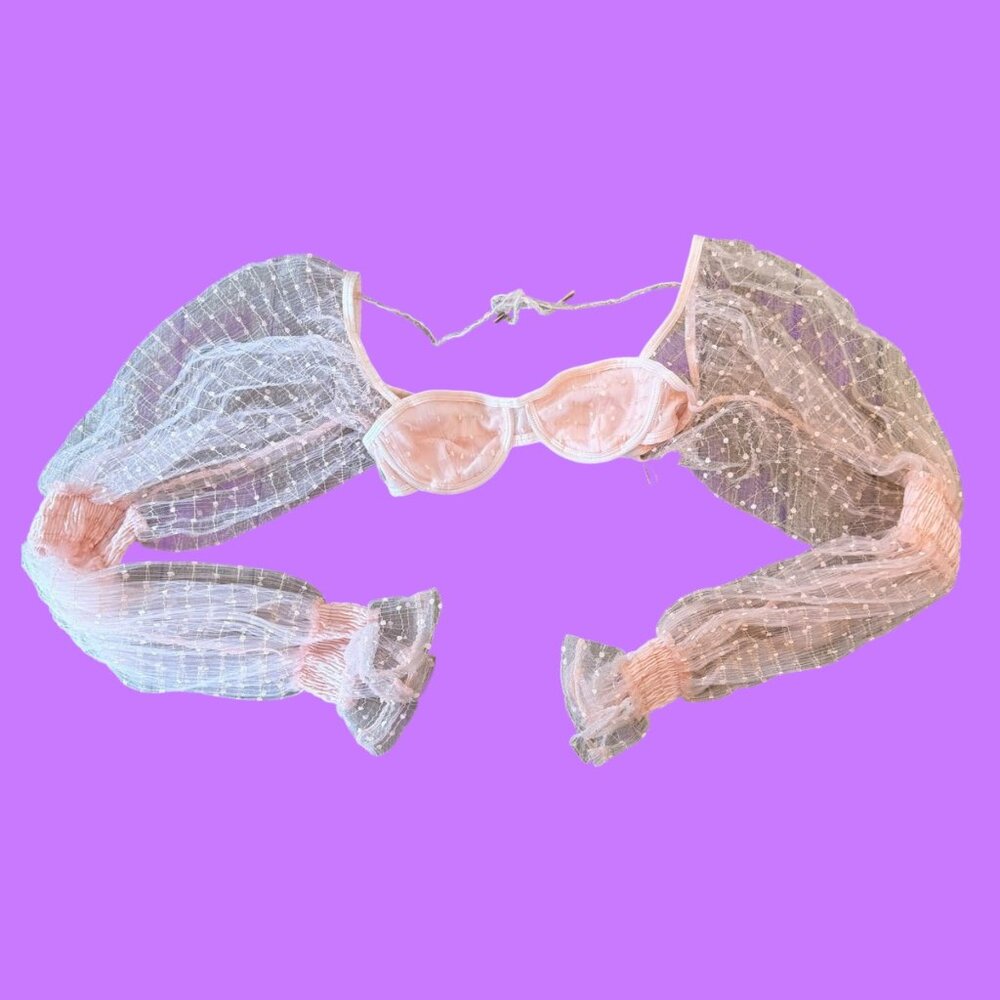 NWT ZYA The Label Pastel Pink Festival Wear Long Sleeve Sheer Crop Top